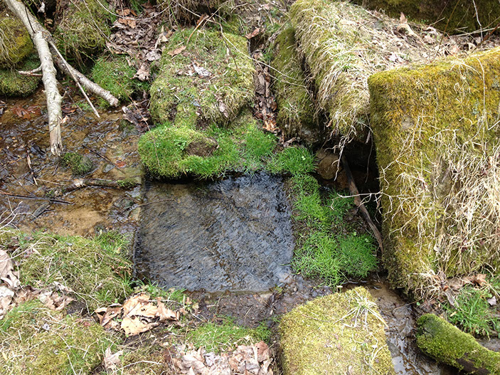 The remains of an old spring used long ago.&nbsp; Foundations of an old home can be seen along the trail nearby.