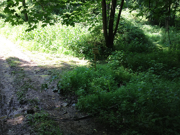 A sign points the way to the old spring.